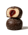 Aussie Lamington Balls  (12 balls)